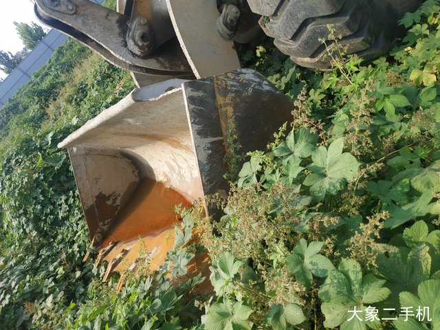 成工 CG955 装载机