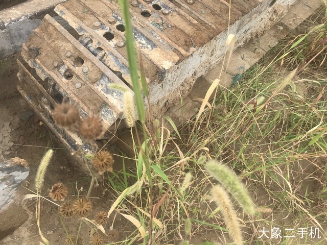 沃尔沃 EC55B-Pro 挖掘机