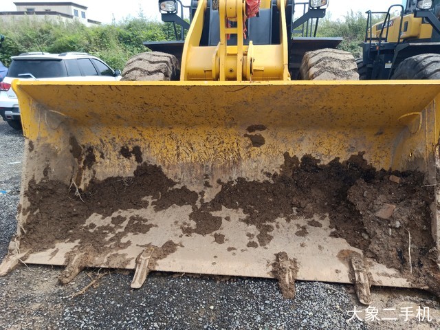 山推 SL50WN 装载机