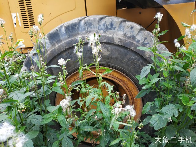 龙工 LG853D 装载机