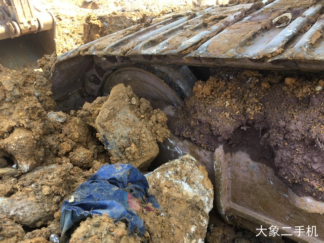 卡特彼勒 329DL 挖掘机
