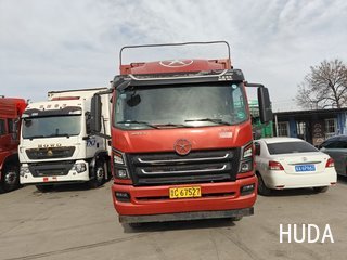 Truck 大运轻卡 220HP - 2