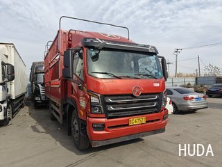 Truck 大运轻卡 220HP - 3