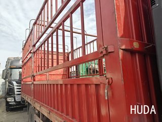 Truck 大运轻卡 220HP - 7